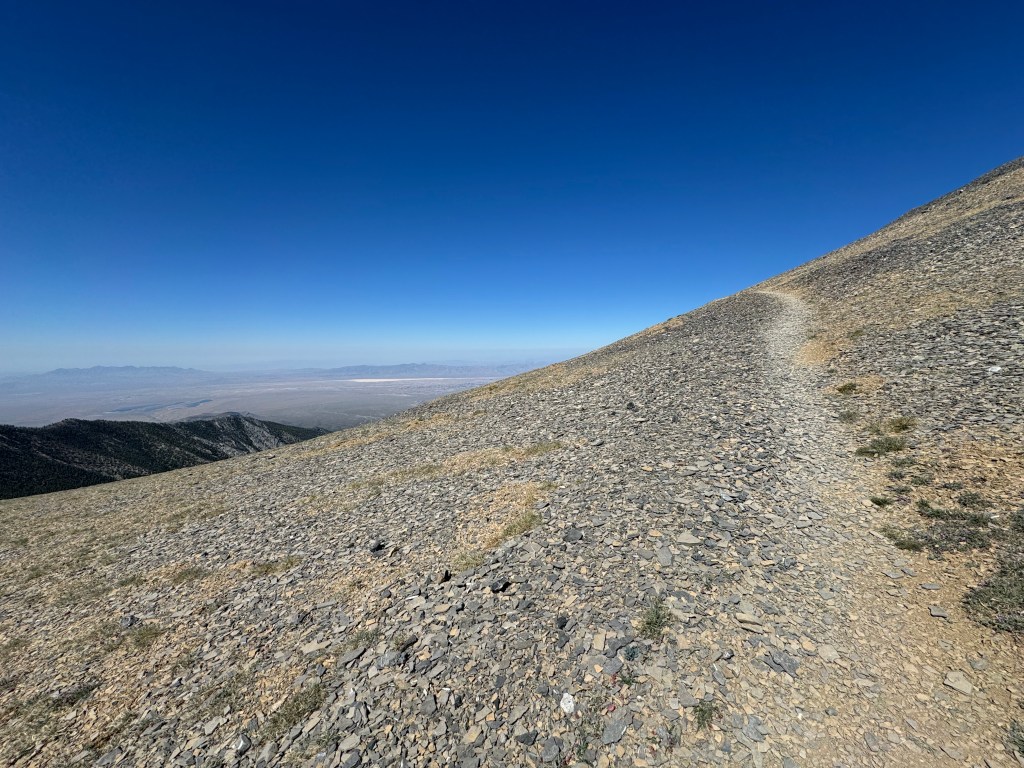 Conquering Charleston: Green Beret Fitness Operation VEGAS Race Report